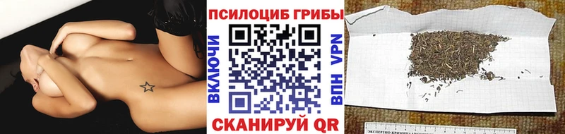 закладка  МЕГА маркетплейс  Галлюциногенные грибы Cubensis  Поворино 