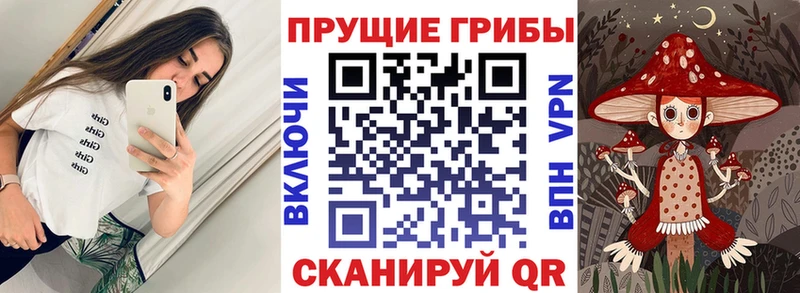Галлюциногенные грибы GOLDEN TEACHER Поворино